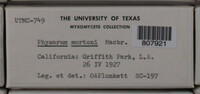 Image Associated With the Occurence